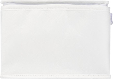 Logotrade business gifts photo of: Spectrum 6-can recycled non-woven cooler bag 4L