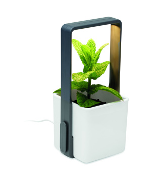 Logotrade corporate gift image of: Indoor garden with LED light