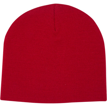 Logo trade promotional products picture of: Izu beanie