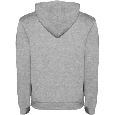 Logotrade promotional merchandise image of: Urban men's hoodie