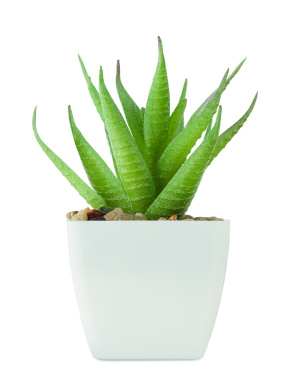 Logo trade promotional gift photo of: Mini artificial plant