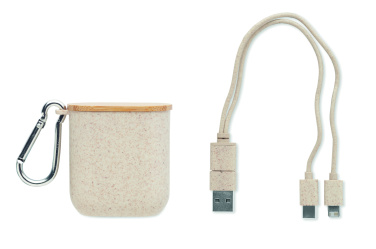 Logotrade advertising product picture of: Cable set in case