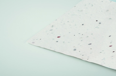 Logotrade promotional giveaway image of: Wildflower seed business card.