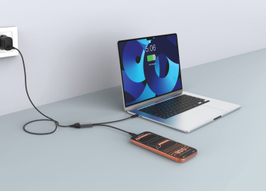 Logo trade business gift photo of: Terra 100W RCS Dual USB C output cable