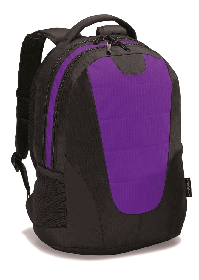 Logo trade reklaamkingi pilt: ##Sülearvuti 14" seljakott Colorissimo, lilla