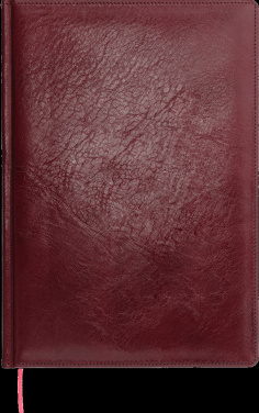 Logo trade firmakingituse pilt: Kalendermärkmik 642131