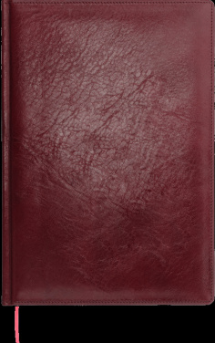 Logotrade meened pilt: Kalendermärkmik 645131