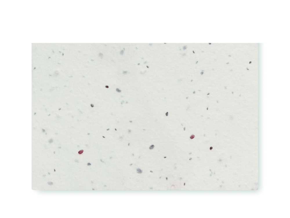 Logo trade meene pilt: ASIDA Seemnepaberist visiitkaart