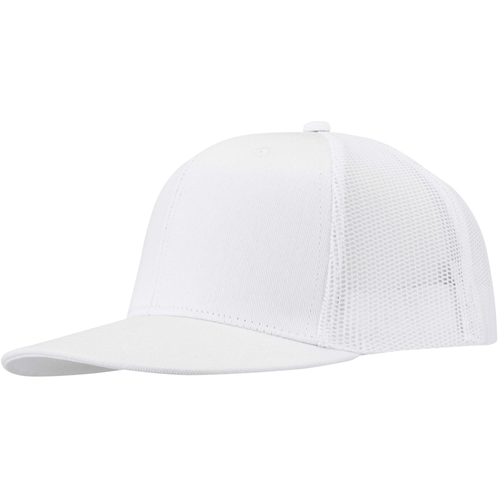Logo trade reklaamtoote pilt: Drift Snapback 260 g/m2 6 paneeliga nokamüts