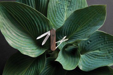 Logotrade firmakingituse foto: VICTORINOX taskunuga Classic SD puidust käepidemega