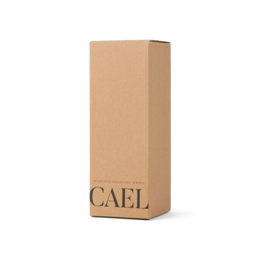 Logo trade meene pilt: VINGA Cael RCS SS joogipudel 600ML