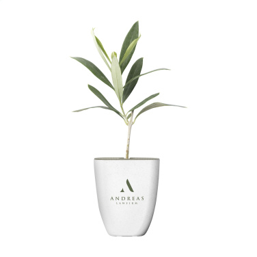 Logotrade mainoslahjat kuva: Treemore Letterbox Trees Olive