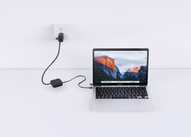 Logotrade mainoslahjat kuva: Urban Vitamin San Jose – 100 W latausteline