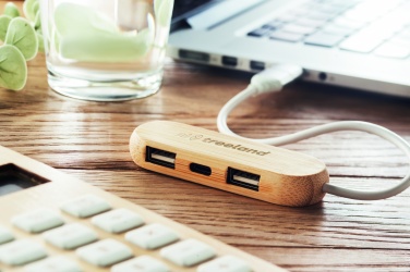 Logotrade dovana nuotrauka: 3 prievadų USB šakotuvas su dviem įvestimis