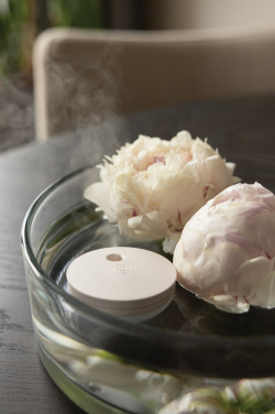 Logotrade ziemassvētku dāvanas foto: Breevia RCS plastmasas atkārtoti uzlādējams peldošs mitrinātājs