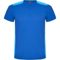 Detroit kortärmad unisex sport-T-shirt, Royal blue / Light Royal