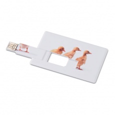 Creditcard. USB flash 16GB